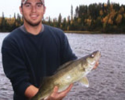 walleye